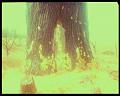 PDVD_3188