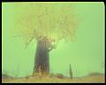 PDVD_3189