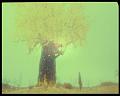 PDVD_3190
