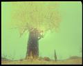 PDVD_3191