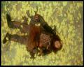 PDVD_3192