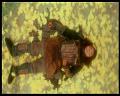 PDVD_3193
