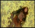 PDVD_3194