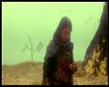 PDVD_3206