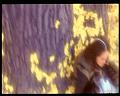 PDVD_3227