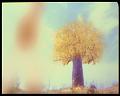 PDVD_3233