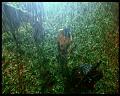 PDVD_412