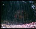 PDVD_430