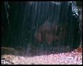 PDVD_431