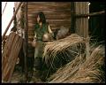 PDVD_464