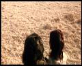 PDVD_468