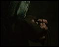 PDVD_501