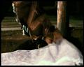 PDVD_531
