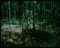PDVD_549