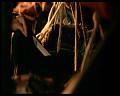 PDVD_563