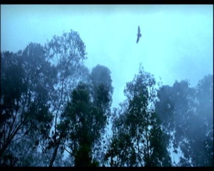 PDVD_1087.jpg