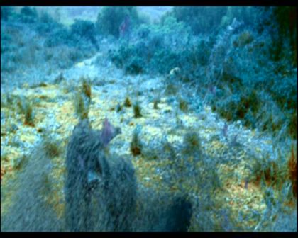 PDVD_1107.jpg