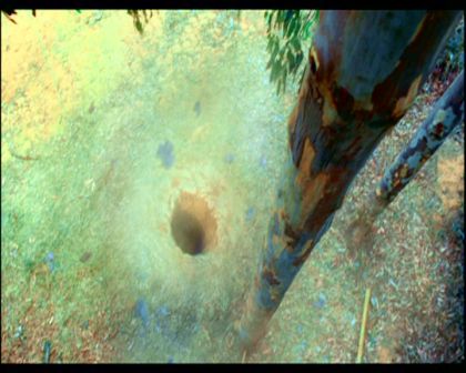 PDVD_1133.jpg