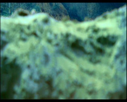 PDVD_1143.jpg