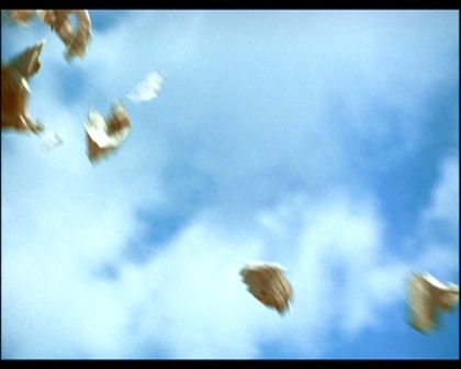PDVD_116.jpg