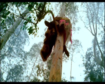 PDVD_1168.jpg