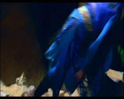 PDVD_1185.jpg
