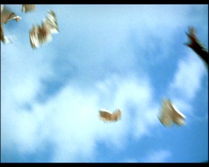 PDVD_122.jpg