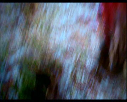 PDVD_1256.jpg