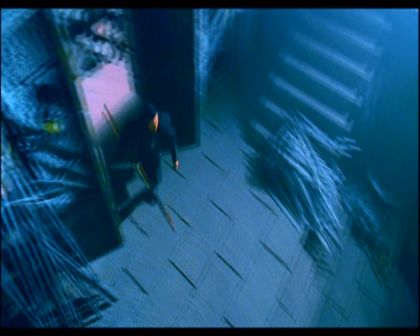 PDVD_1377.jpg