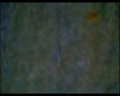PDVD_1382.jpg