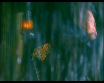 PDVD_1488.jpg