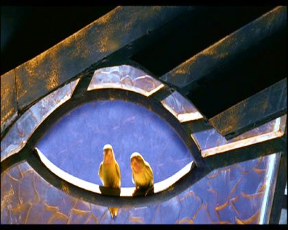 PDVD_355.jpg