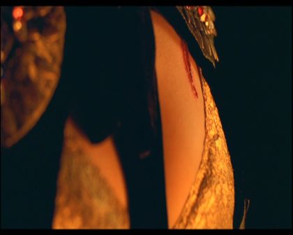 PDVD_429.jpg
