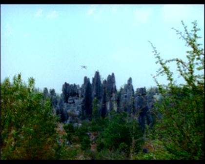 PDVD_478.jpg