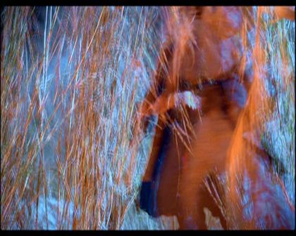 PDVD_734.jpg