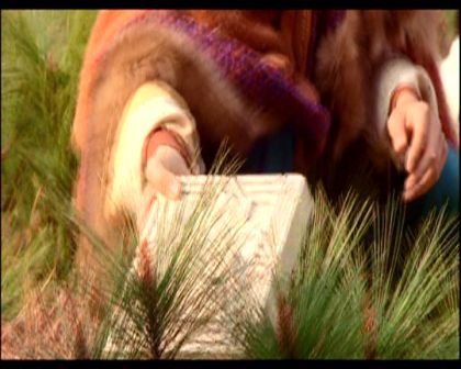 PDVD_798.jpg