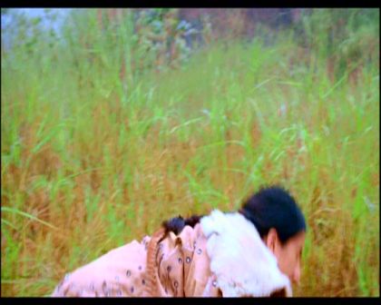 PDVD_860.jpg