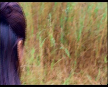 PDVD_868.jpg