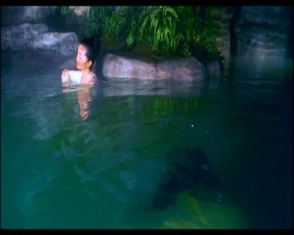 PDVD_919.jpg