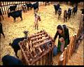 PDVD_017