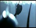 PDVD_093