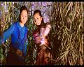 PDVD_1013