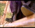 PDVD_105