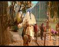 PDVD_1052