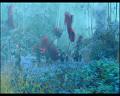 PDVD_1100
