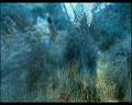 PDVD_1106