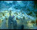 PDVD_1107