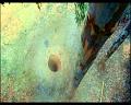 PDVD_1133