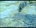 PDVD_1155