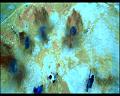 PDVD_1157